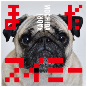 秋霞午夜视频在线观看
