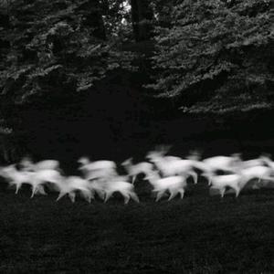 秋霞午夜视频在线观看
