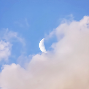 秋霞午夜视频在线观看
