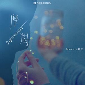 秋霞午夜视频在线观看
