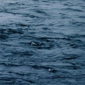 秋霞午夜视频在线观看
